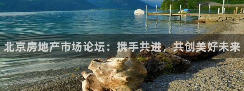 新宝6霸哥5：北京房地产市场论坛：携手共进，共创美好未来