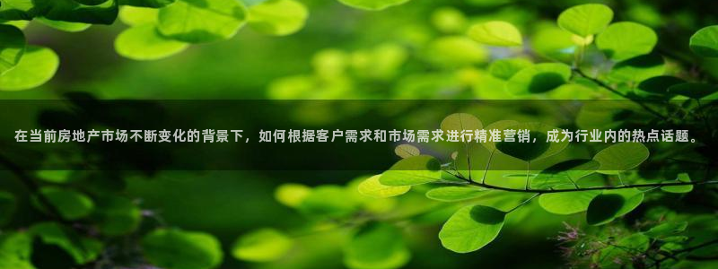 新宝5下载app：在当前房地产市场不断变化的背景下，如何根据