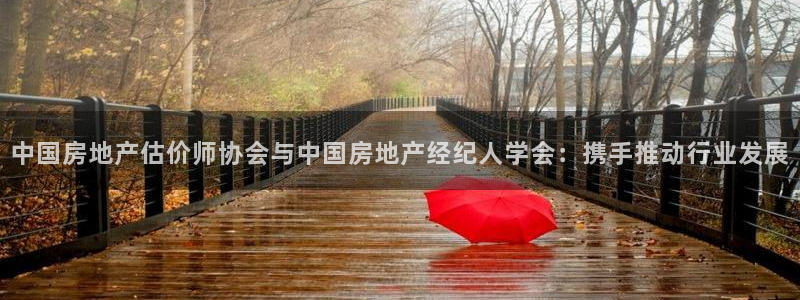 新宝3得74OO5：中国房地产估价师协会与中国房地产经纪人学