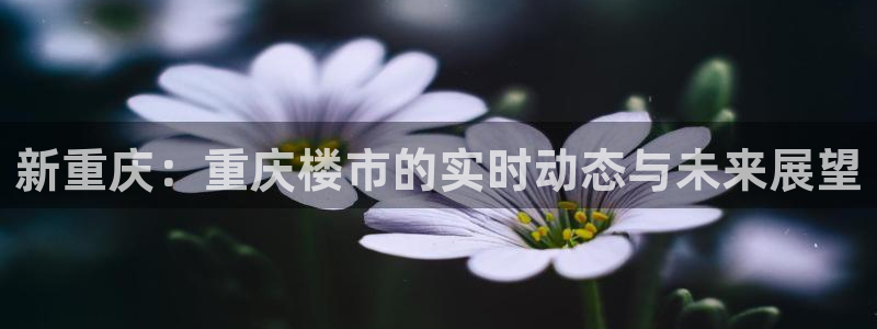 新宝5 888：新重庆：重庆楼市的实时动态与未来展望