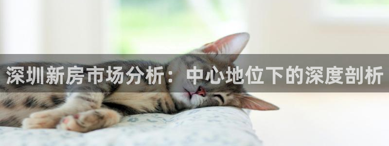 新宝5月：深圳新房市场分析：中心地位下的深度剖析