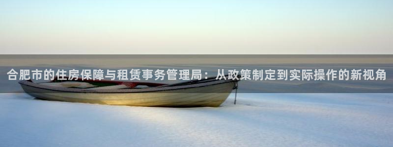新宝5唯一：合肥市的住房保障与租赁事务管理局：从政策制定到实