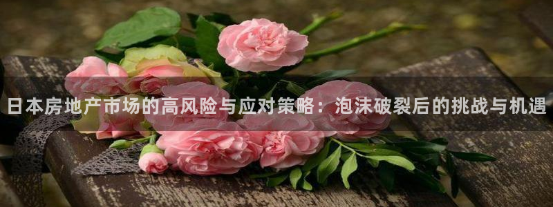 新宝娱乐5入口：日本房地产市场的高风险与应对策略：泡沫破裂后