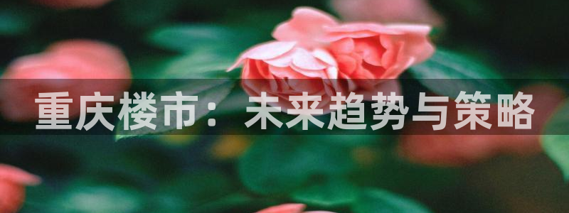 新宝5地址：重庆楼市：未来趋势与策略