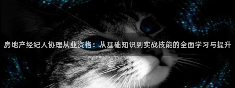 新宝股东王听2 5 5：房地产经纪人协理从业资格：从基础知识