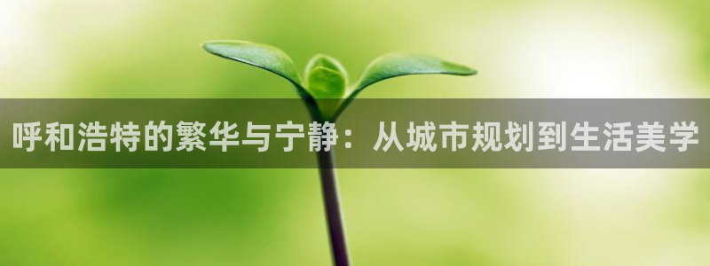 新宝5导师：呼和浩特的繁华与宁静：从城市规划到生活美学