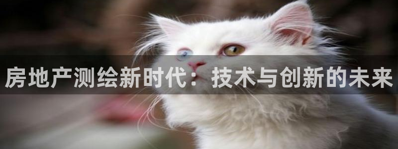 新宝5登陆地址：房地产测绘新时代：技术与创新的未来