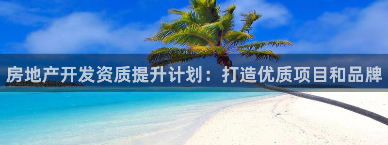 新宝5培训：房地产开发资质提升计划：打造优质项目和品牌