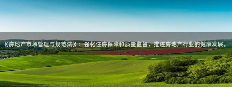 新宝5测试：《房地产市场管理与规范法》：强化住房保障和质量监