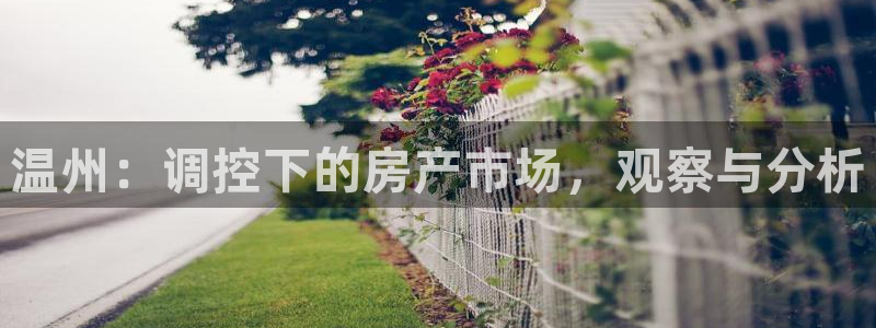 新宝5口67五壹叁八：温州：调控下的房产市场，观察与分析
