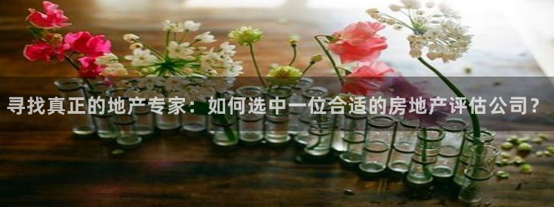 新宝5代理：寻找真正的地产专家：如何选中一位合适的房地产评估