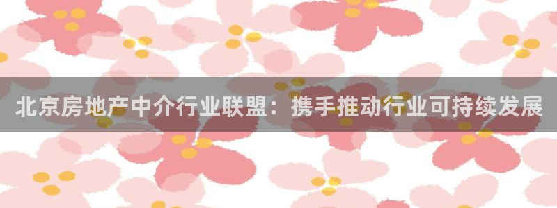 新宝5找找74OOO5：北京房地产中介行业联盟：携手推动行业