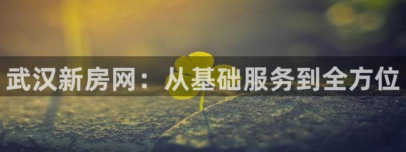 新宝6霸哥5：武汉新房网：从基础服务到全方位