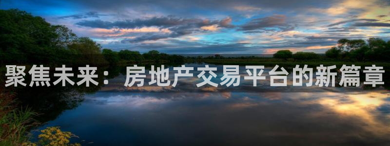 新宝5平台注册公司：聚焦未来：房地产交易平台的新篇章