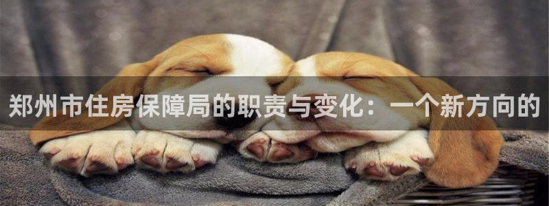 新宝5是谁的：郑州市住房保障局的职责与变化：一个新方向的