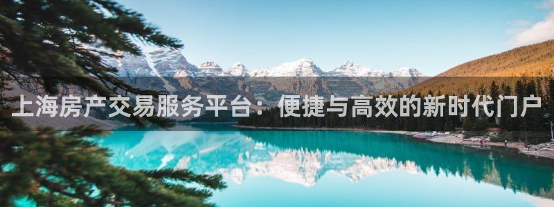 新宝5下载到桌面：上海房产交易服务平台：便捷与高效的新时代门