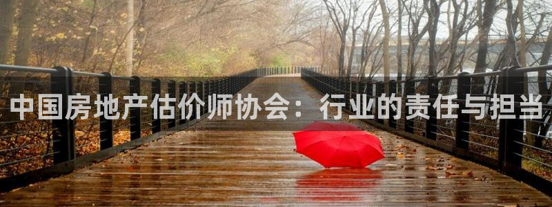 新宝5登录注册：中国房地产估价师协会：行业的责任与担当