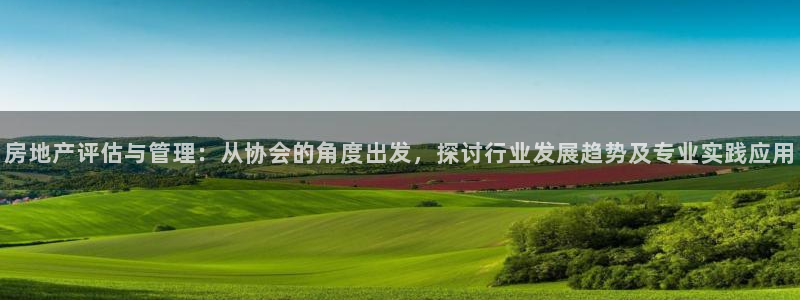 新宝xb5：房地产评估与管理：从协会的角度出发，探讨行业发展