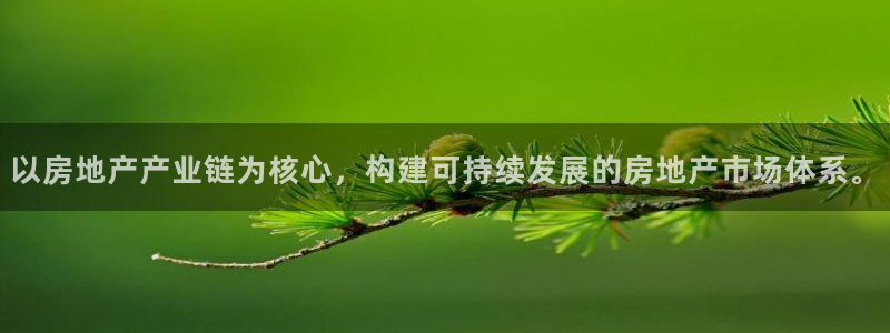 新宝5的网址
