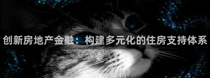 新宝5户端：创新房地产金融：构建多元化的住房支持体系