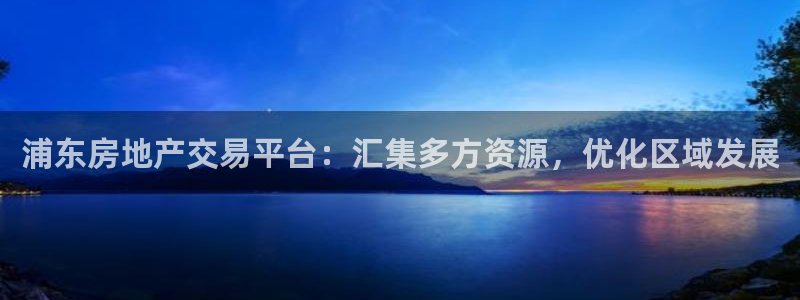 新宝5官网：浦东房地产交易平台：汇集多方资源，优化区域发展