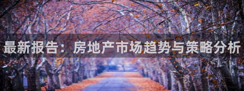 新宝新5：最新报告：房地产市场趋势与策略分析