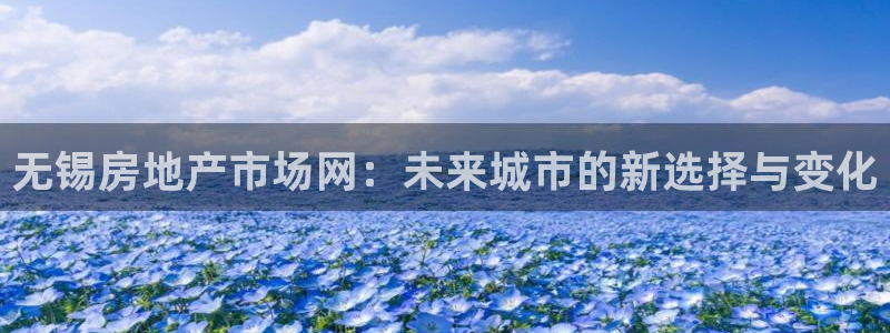 新宝5日