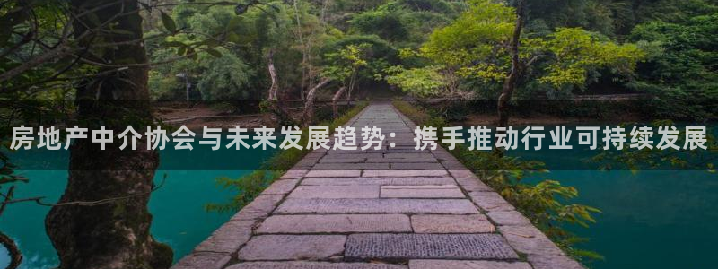 新宝5系列：房地产中介协会与未来发展趋势：携手推动行业可持续