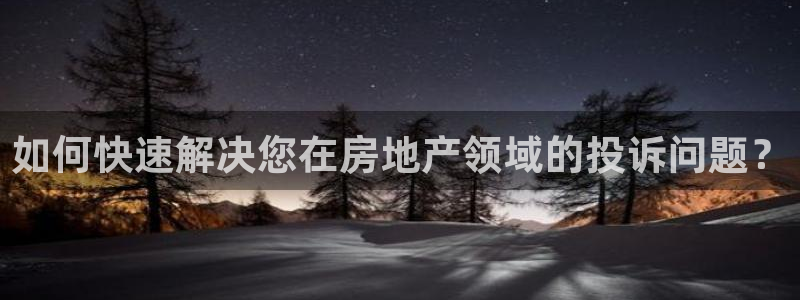 新宝5娱乐主管：如何快速解决您在房地产领域的投诉问题？