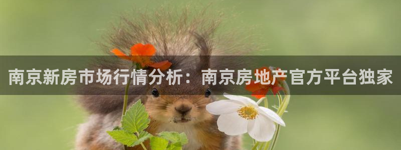 新宝5登录平台：南京新房市场行情分析：南京房地产官方平台独家