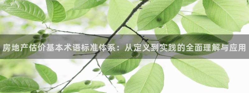 新宝5注册霸：房地产估价基本术语标准体系：从定义到实践的全面