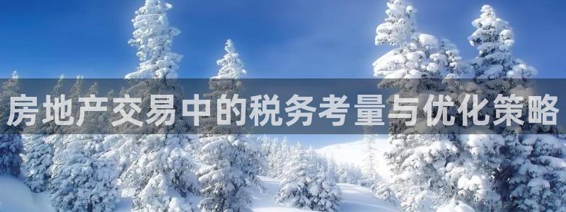 新宝5手机版：房地产交易中的税务考量与优化策略