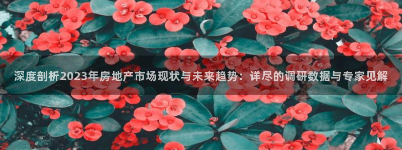 新宝5尤74OOO5：深度剖析2023年房地产市场现状与未来