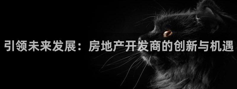 新宝5彩票平台登陆：引领未来发展：房地产开发商的创新与机遇