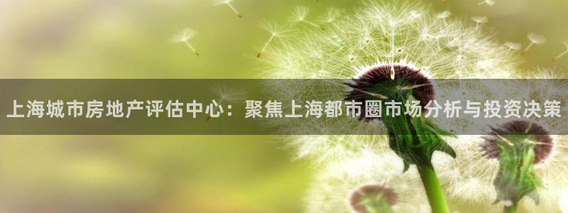 新宝5登录霸：上海城市房地产评估中心：聚焦上海都市圈市场分析