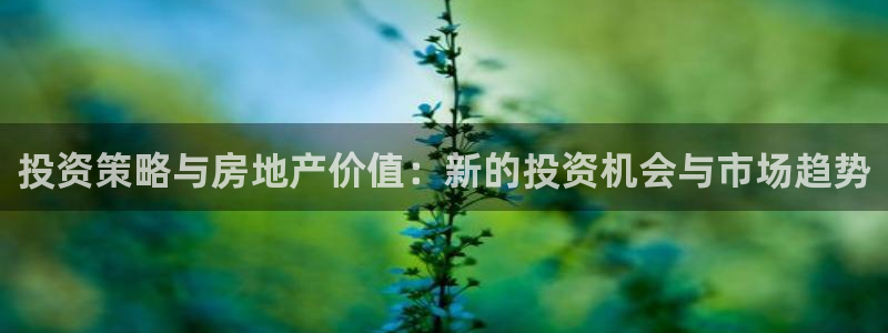 新宝5球维33 300：投资策略与房地产价值：新的投资机会与