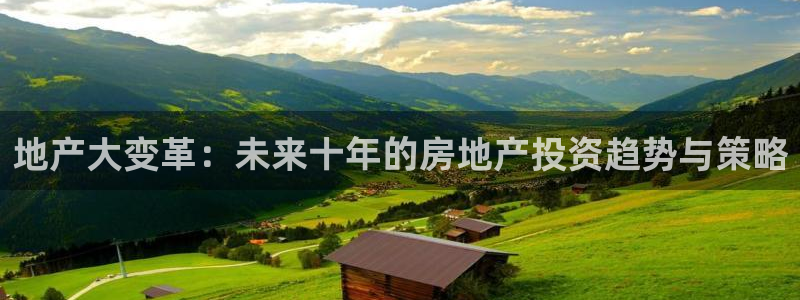 新宝5官方：地产大变革：未来十年的房地产投资趋势与策略