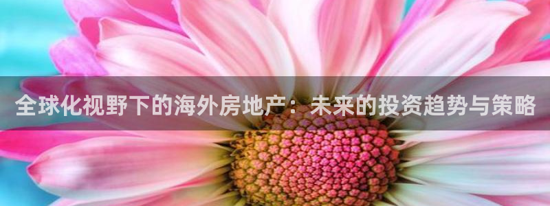 新宝5地址：全球化视野下的海外房地产：未来的投资趋势与策略