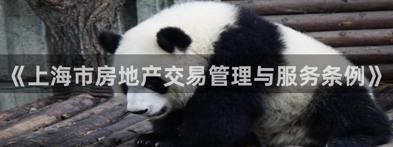 新宝5下载app：《上海市房地产交易管理与服务条例》