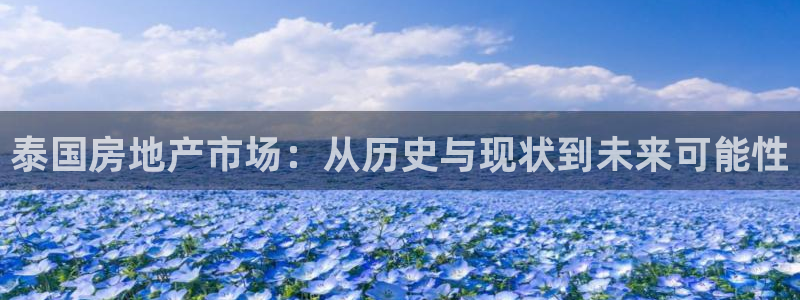 新宝5招商222111：泰国房地产市场：从历史与现状到未来可