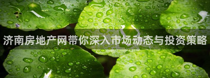 新宝5链接：济南房地产网带你深入市场动态与投资策略