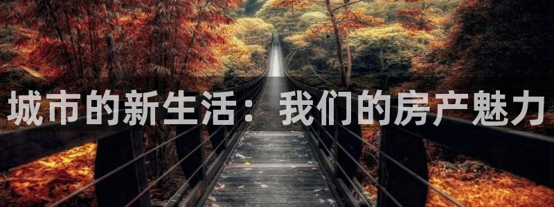 新宝b2O5O5O：城市的新生活：我们的房产魅力