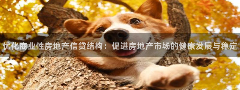 新宝5找找74OOO5：优化商业性房地产信贷结构：促进房地产