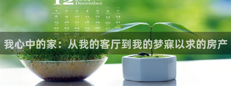 新宝5线路登录：我心中的家：从我的客厅到我的梦寐以求的房产