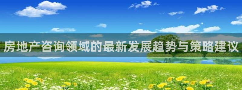 新宝5是什么样子的：房地产咨询领域的最新发展趋势与策略建议