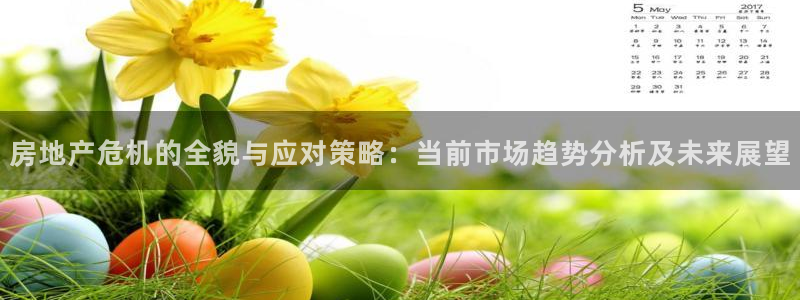 菲律宾新宝5老板：房地产危机的全貌与应对策略：当前市场趋势分