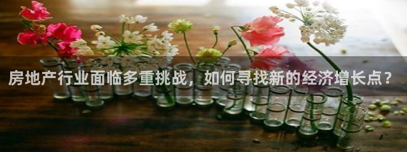 新宝5吴74OOO5：房地产行业面临多重挑战，如何寻找新的经