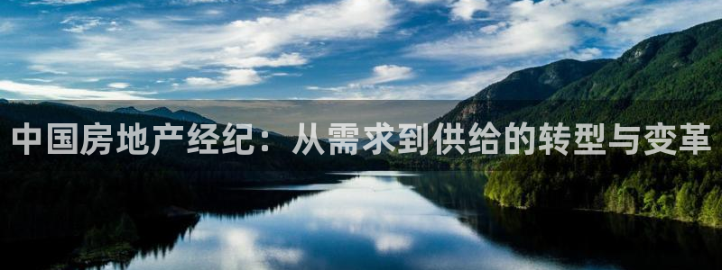新宝速5：中国房地产经纪：从需求到供给的转型与变革