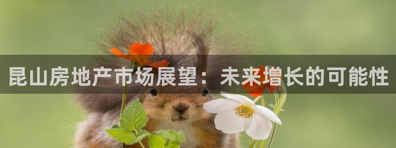 新宝5手机测速：昆山房地产市场展望：未来增长的可能性