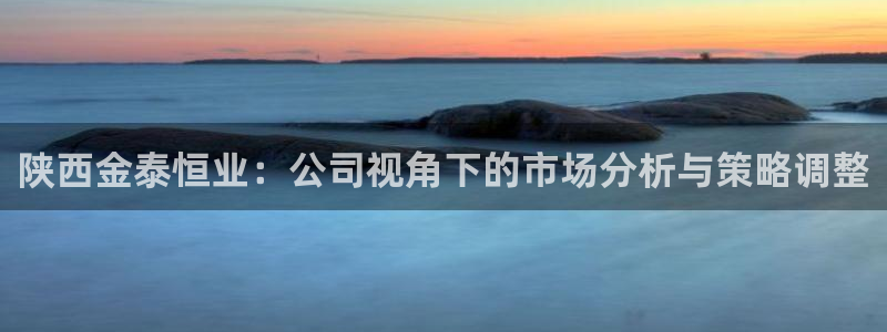 新宝5分彩：陕西金泰恒业：公司视角下的市场分析与策略调整
